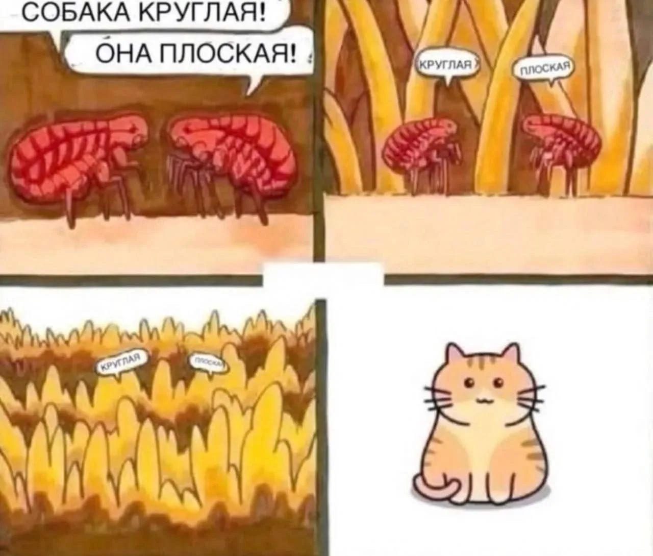#ТвойОрскЮмор
Мы в TELEGRAM: t.me/tvoj_orsk 
Мы в MAX: max.ru/tvoj_orsk