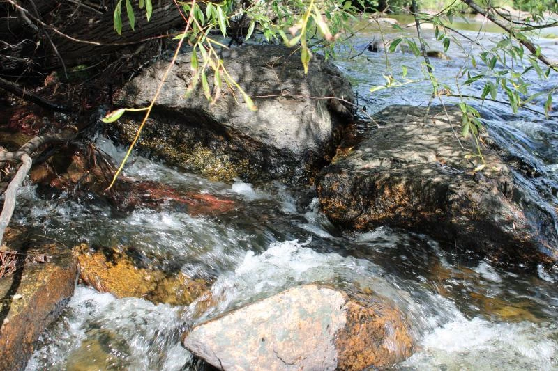 Резкий подъём уровня воды в реках ожидается в Забайкалье 30-31 июля из-за дождей

МЧС призывает люде