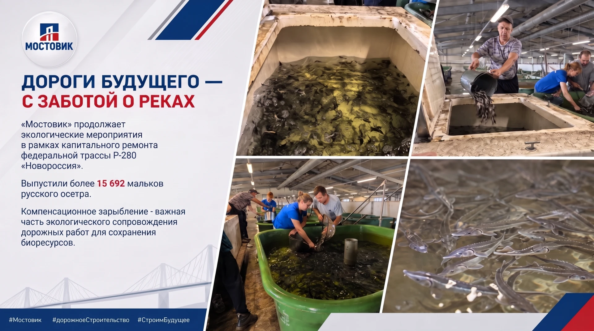 🐟 Более 15 000 мальков осетра выпустили в большую воду