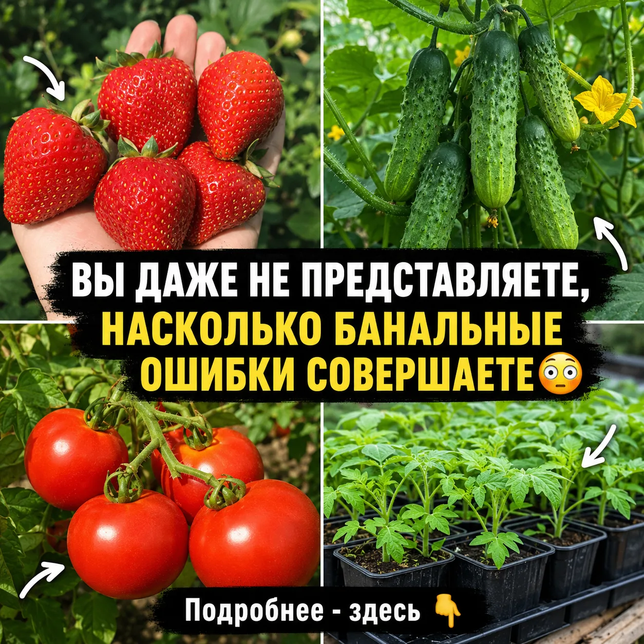 КЛУБНИКА СТАЛА КРУПНЕЕ ЛАДОНИ 🍓 Раньше собирала ягоды «на варенье» — настолько мелкие были. Уже хоте