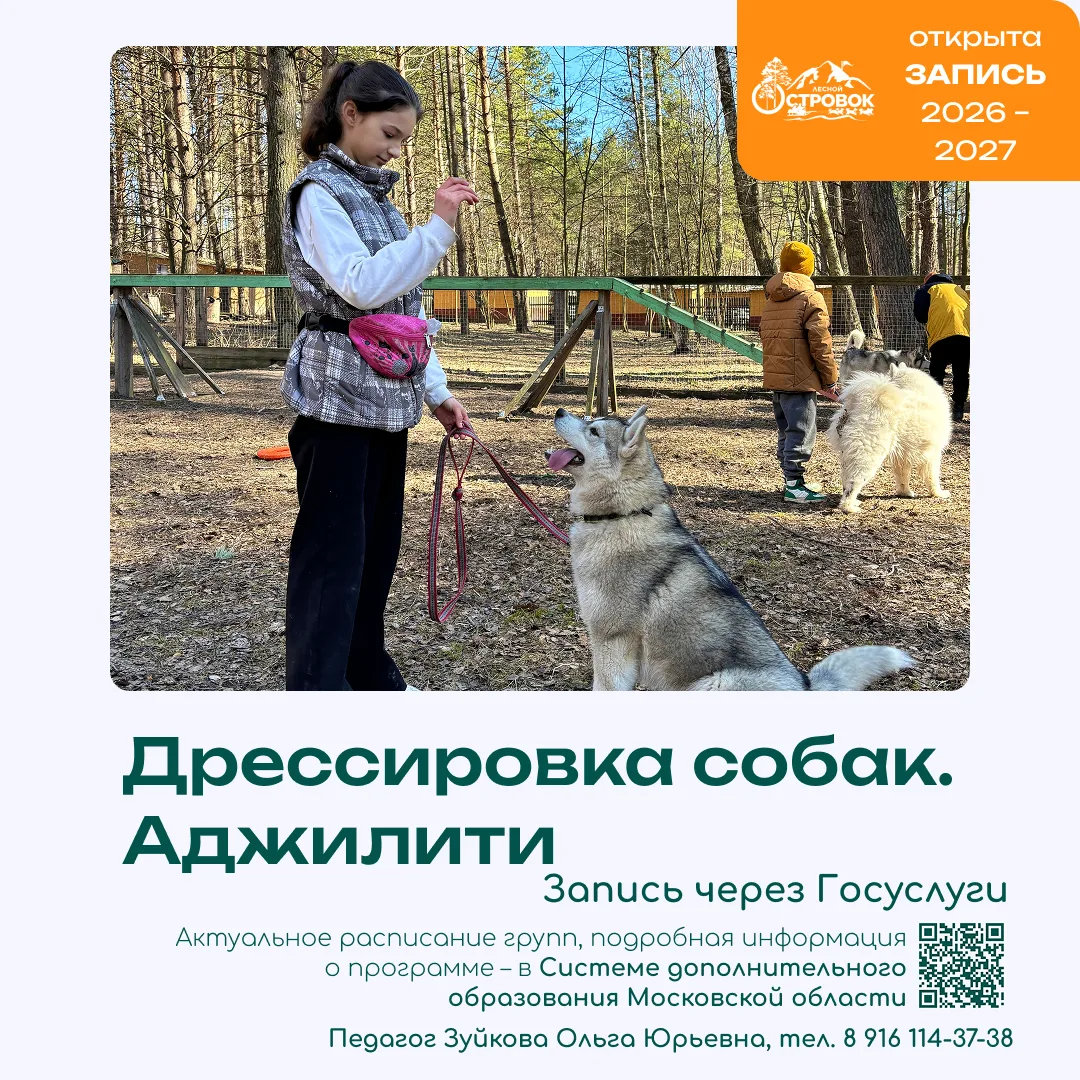 Как воспитать идеальную собаку без стресса? Открыта регистрация в секцию «Дрессировка собак. Аджилит