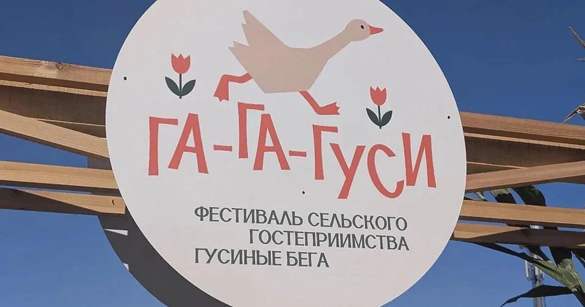 В Оренбургской области на фестивале «Га-га-гуси» 33 гуся соревновались в беге на 100 ме...