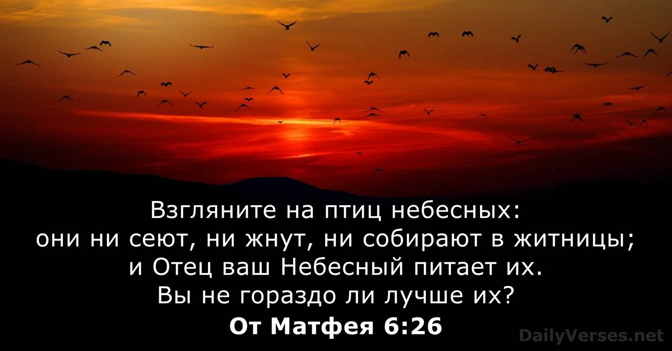21 июня - Неделя 3-я по Пятидесятнице

«Сказал Господь: светильник для тела есть око. Итак, если око