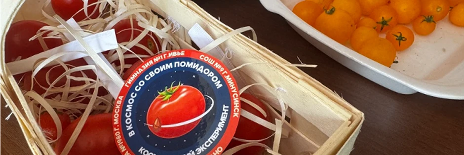 Томаты из космических семян оказались безопасными