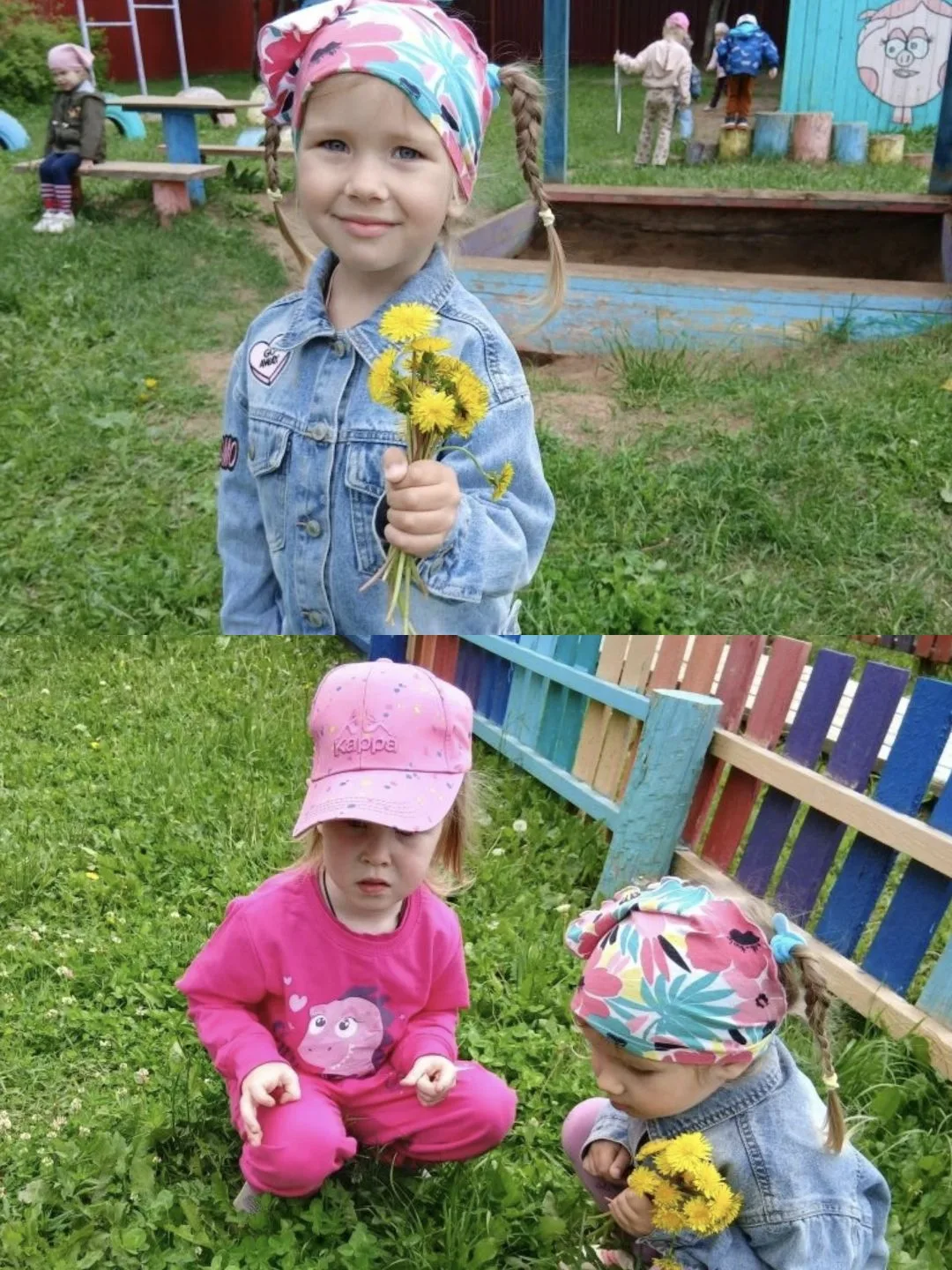 🐞🌲ДЕНЬ ЭКОЛОГА🌳