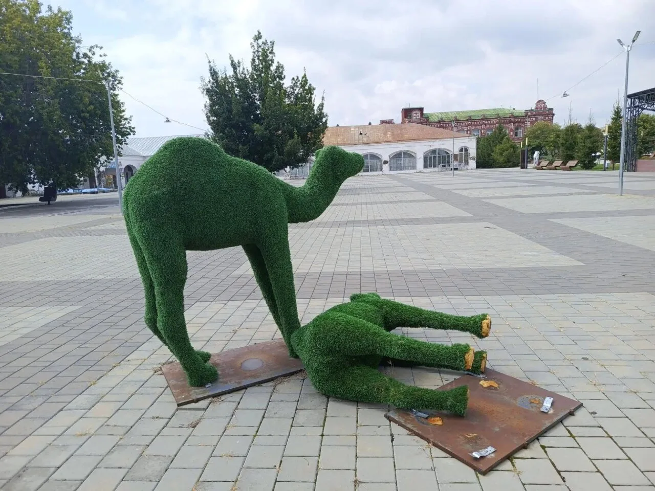 Придумайте подпись к фото.