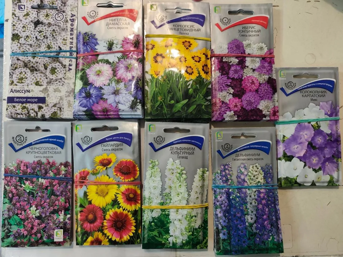 🌸 ЦВЕТЫ ПОД ЗИМУ — УЖЕ В ПРОДАЖЕ!