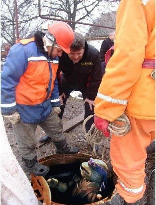 Господи, жители Воркутинской 7, вы чего едите?🥦🍄‍🟫🍶
