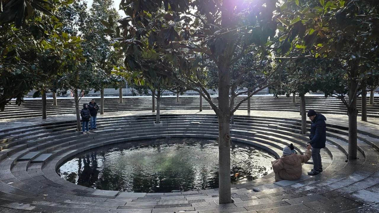 🌳 Зимняя атмосфера в парке «Краснодар»