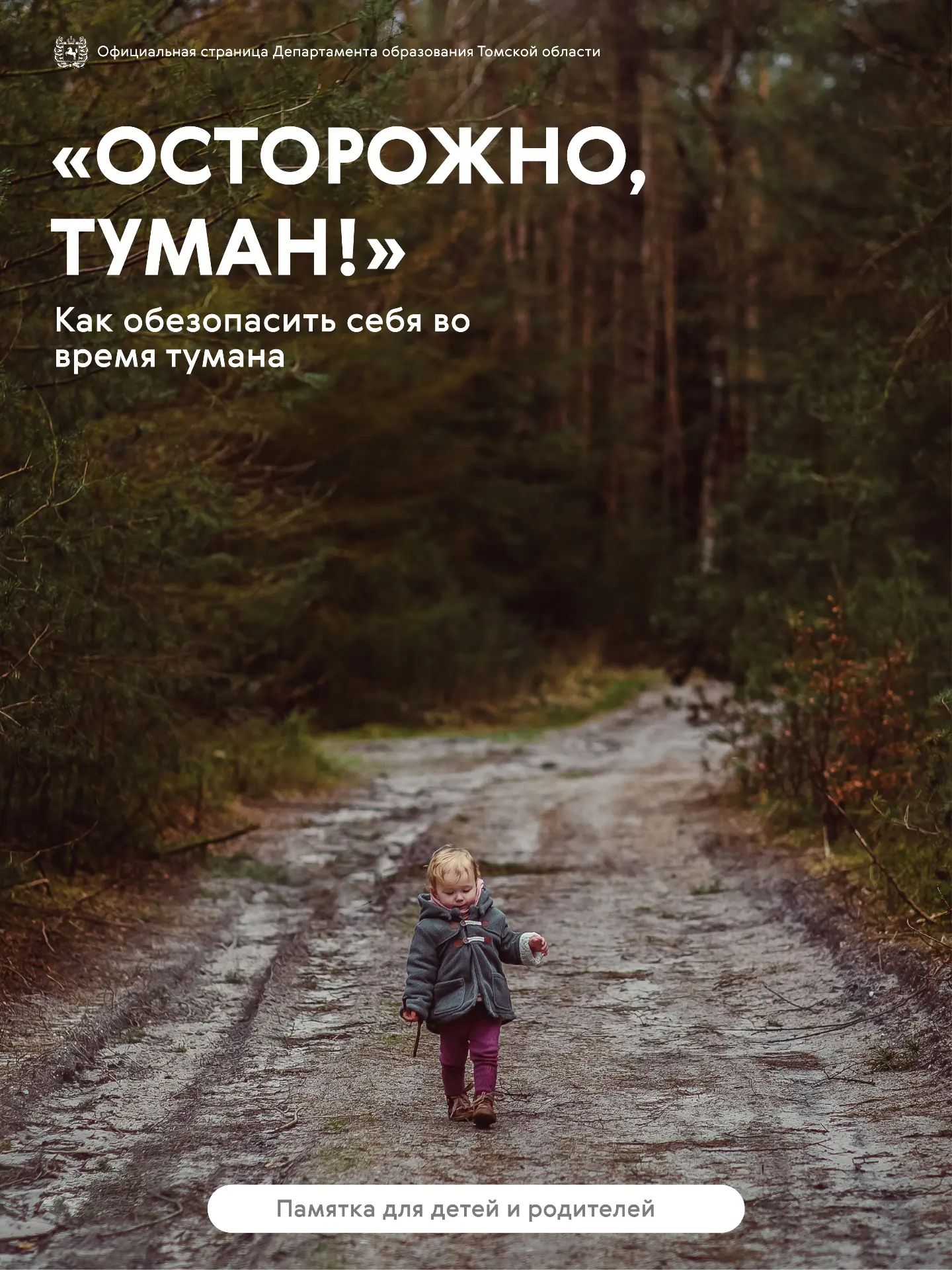 👀 «Вот и самолётика не видать... — думал Ёжик, — и даже лапы своей не вижу»