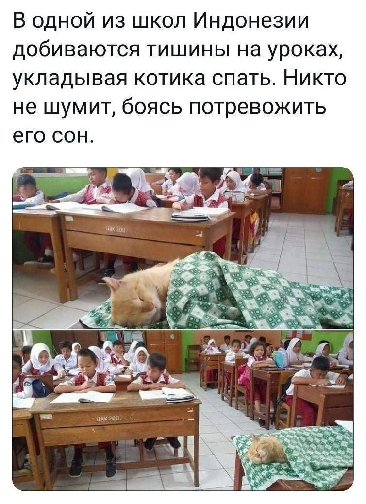 @memachh