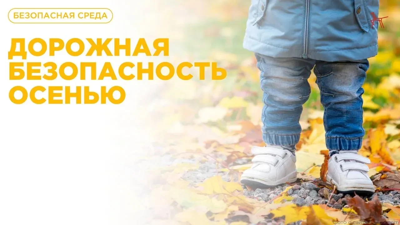 🚔 Дорожная безопасность осенью: на что обратить внимание