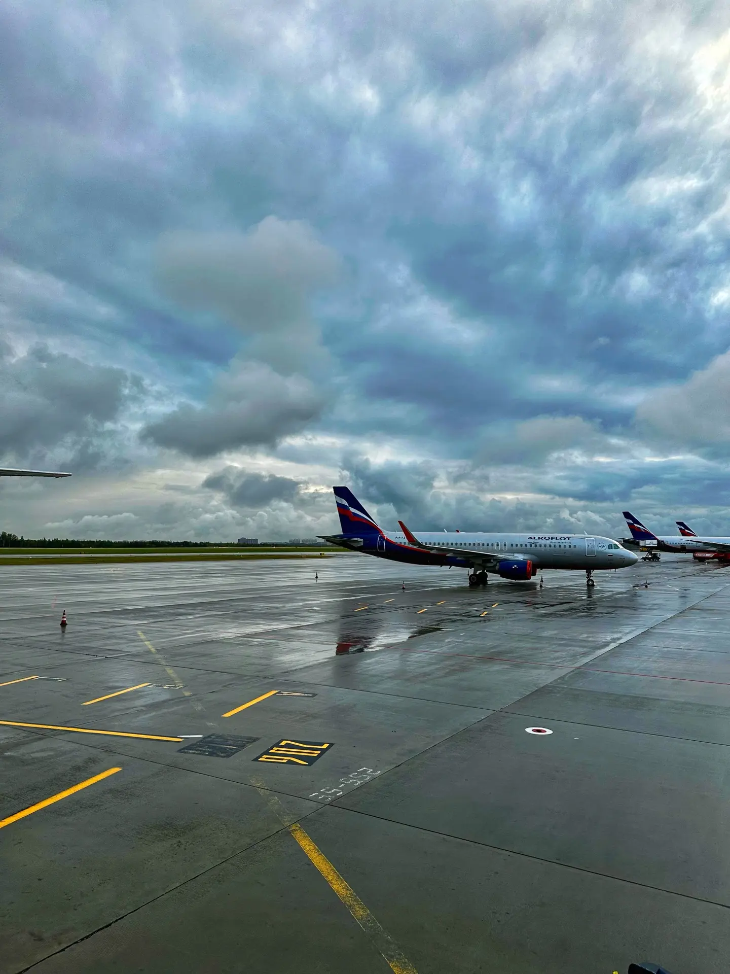 Дорога в Сочи: комфорт, карма и слишком много дождя 🌧️✈️