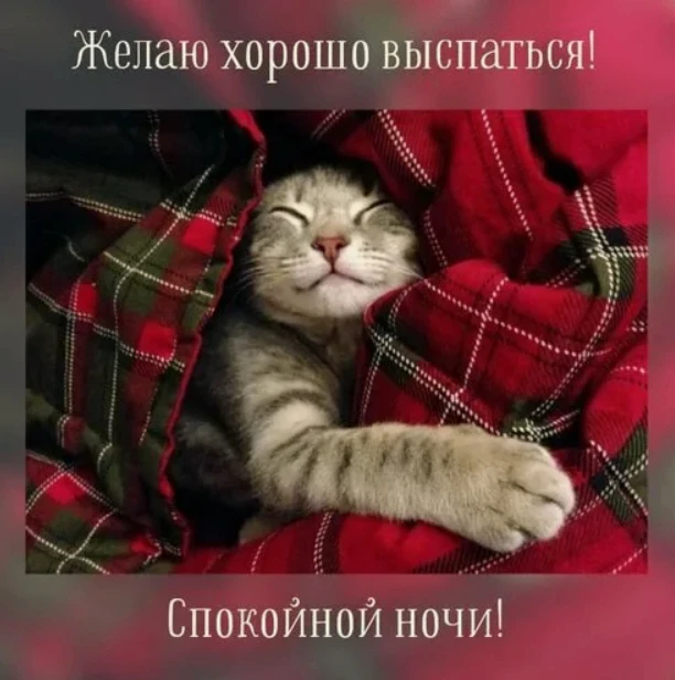 Доброй и мирной ночи❤️❤️❤️
А завтра уже пятница. И последний день июля🌷🌷🌷