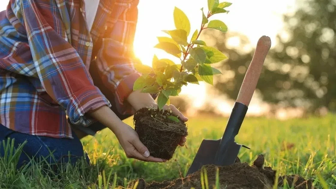 🌿🍁🌱 «Октябрь — месяц озеленения»