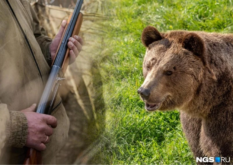 🐻Медведя, который гулял по улицам Кемерова, горожане больше не увидят. По крайней мере...