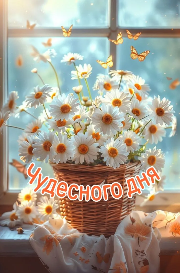 Подпишись 👇
Мои открытки  - МАХ • Открытки • Доброе утро • С днём рождения • Спокойной ночи