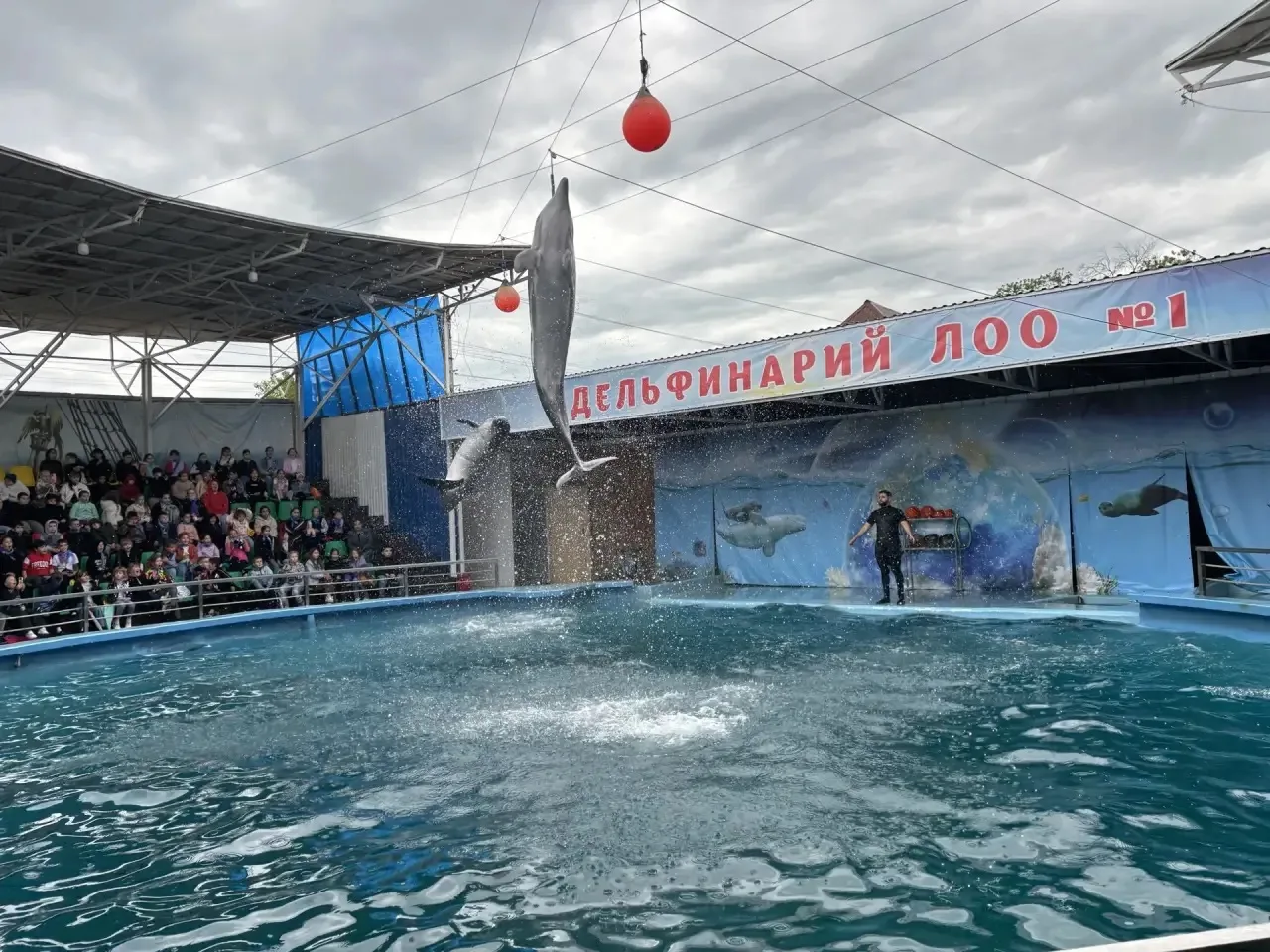 🎉Поздравляем с Международным днём защиты детей.

🐬 Уже стало традицией 1 июня , в честь праздника 