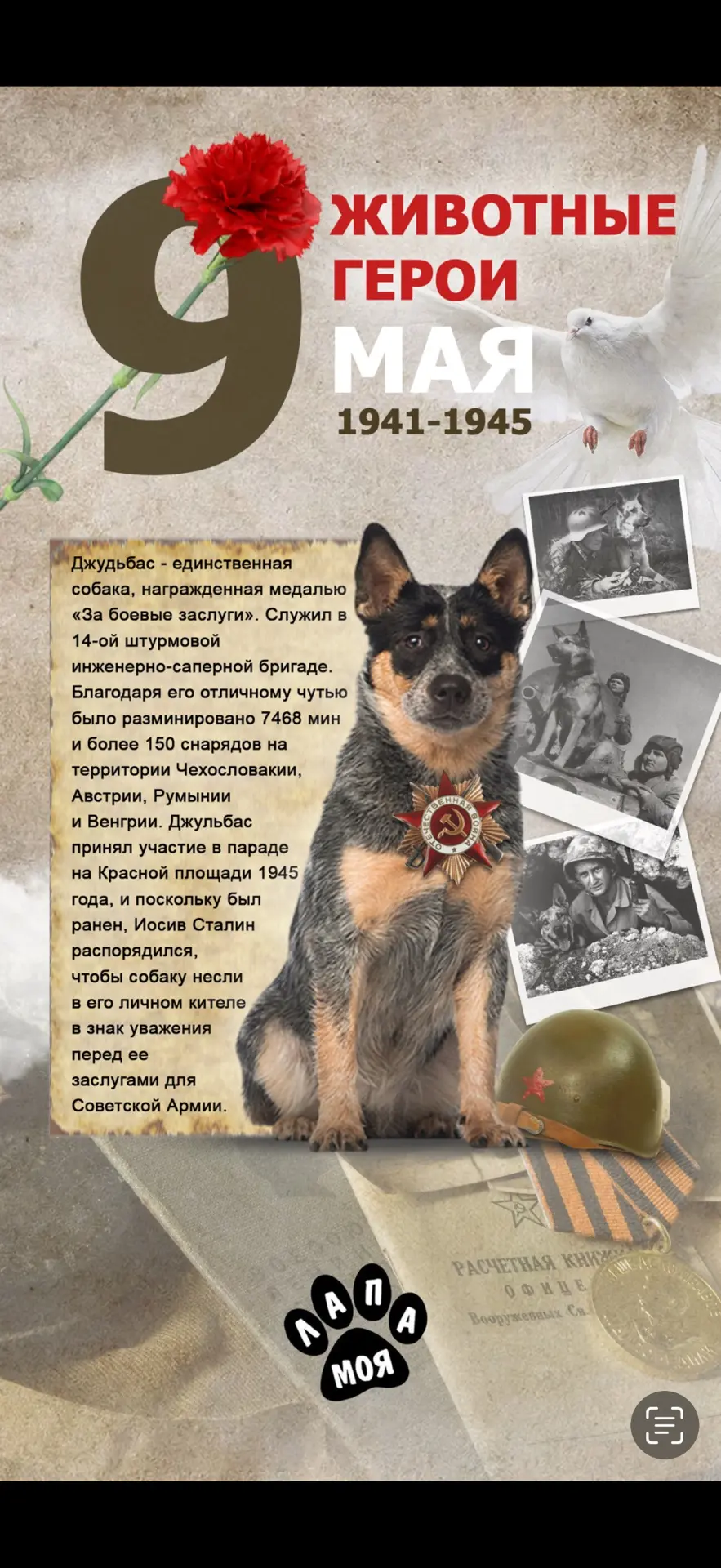 С праздником! 🎖️ Для меня это особенный праздник.