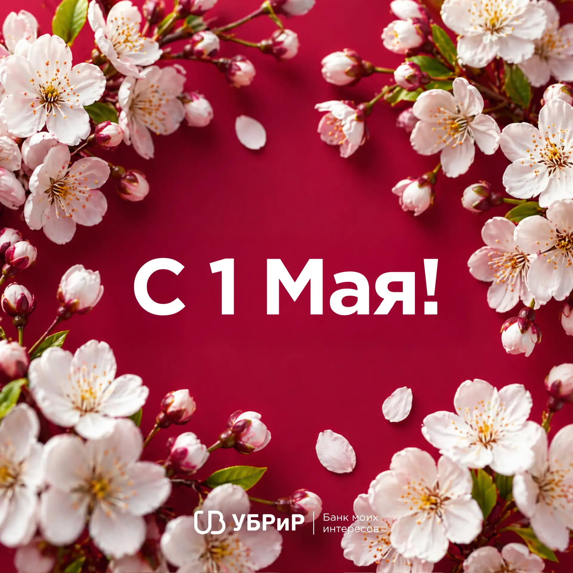 Мир! Труд! Май! 🌿
