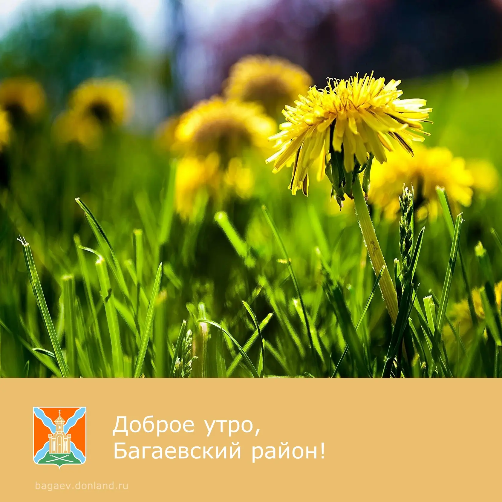 ☀️ Доброе утро, уважаемые жители Багаевского района!