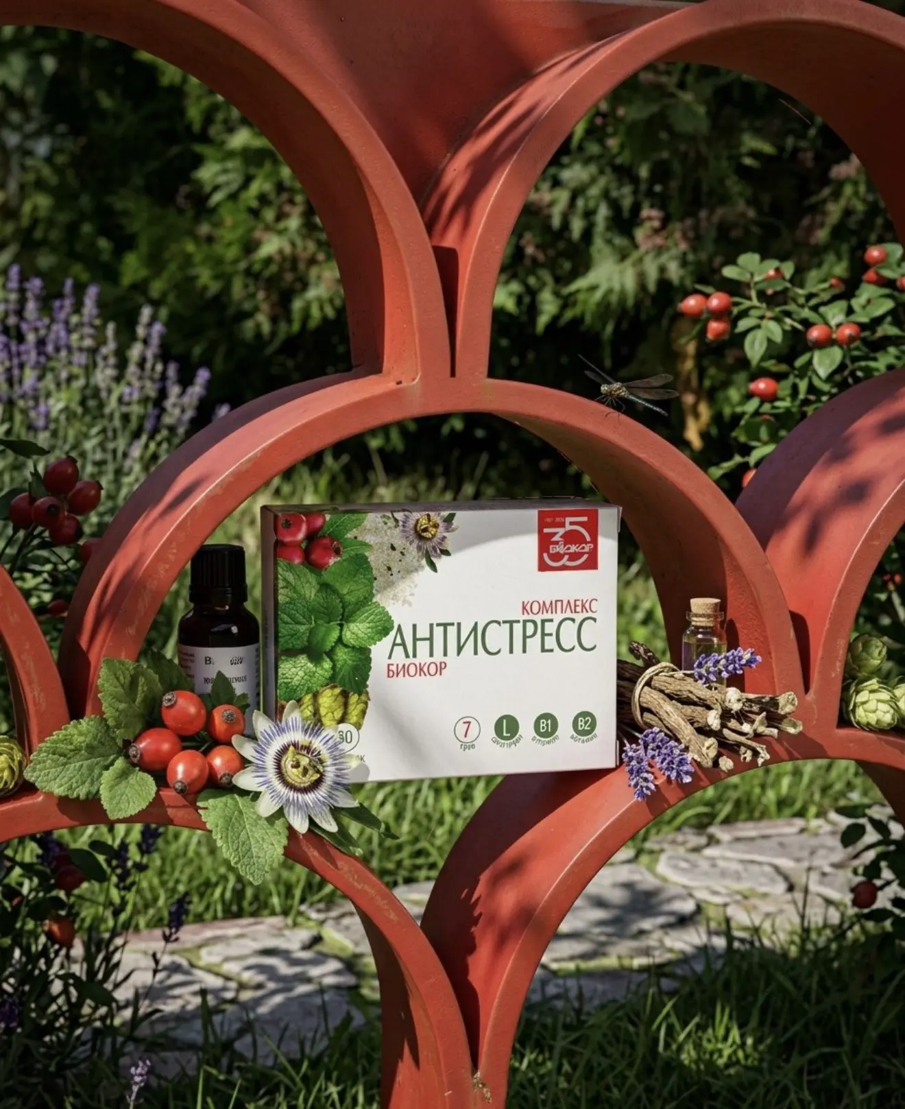 Комплекс «Антистресс» от «Биокор» способствует снижению уровня стресса и тревожности, нормализации с