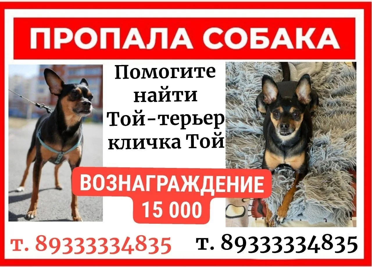 Источник: Открыть