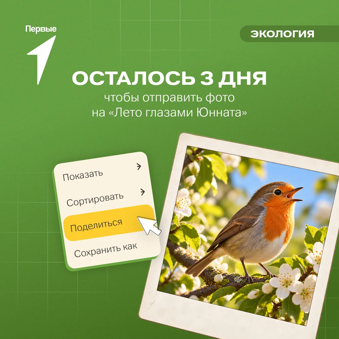 🐦 Нам тут птичка на хвосте принесла…