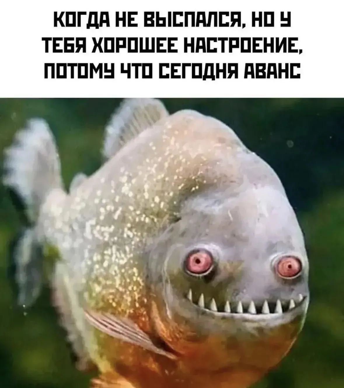 Ура