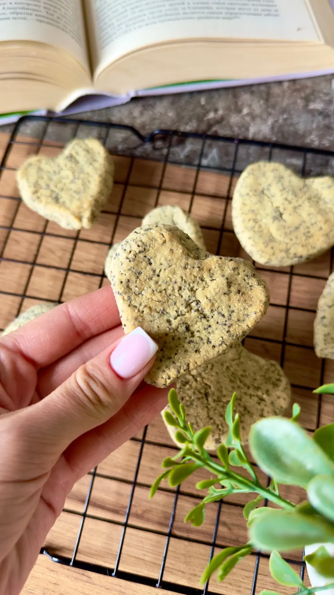 МАКОВОЕ ПЕЧЕНЬЕ🍪

Обожаю мак в выпечке, сохраняйте рецепт и обязательно сегодня вечером испёките эт