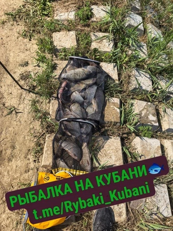 18.06