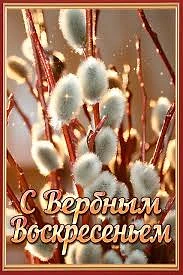 Пушистые вестники весны: встречаем Вербное воскресенье! 🌿