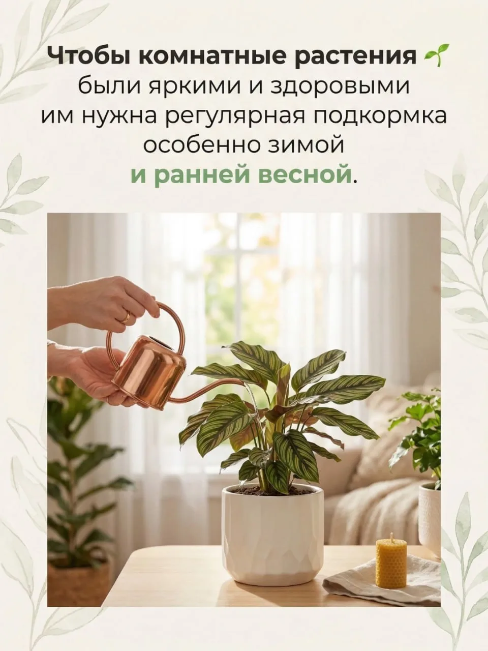 Что подарить на 8 марта? Подарок, который будет радовать годами! 🌸  Букет цветов — это классика, но,