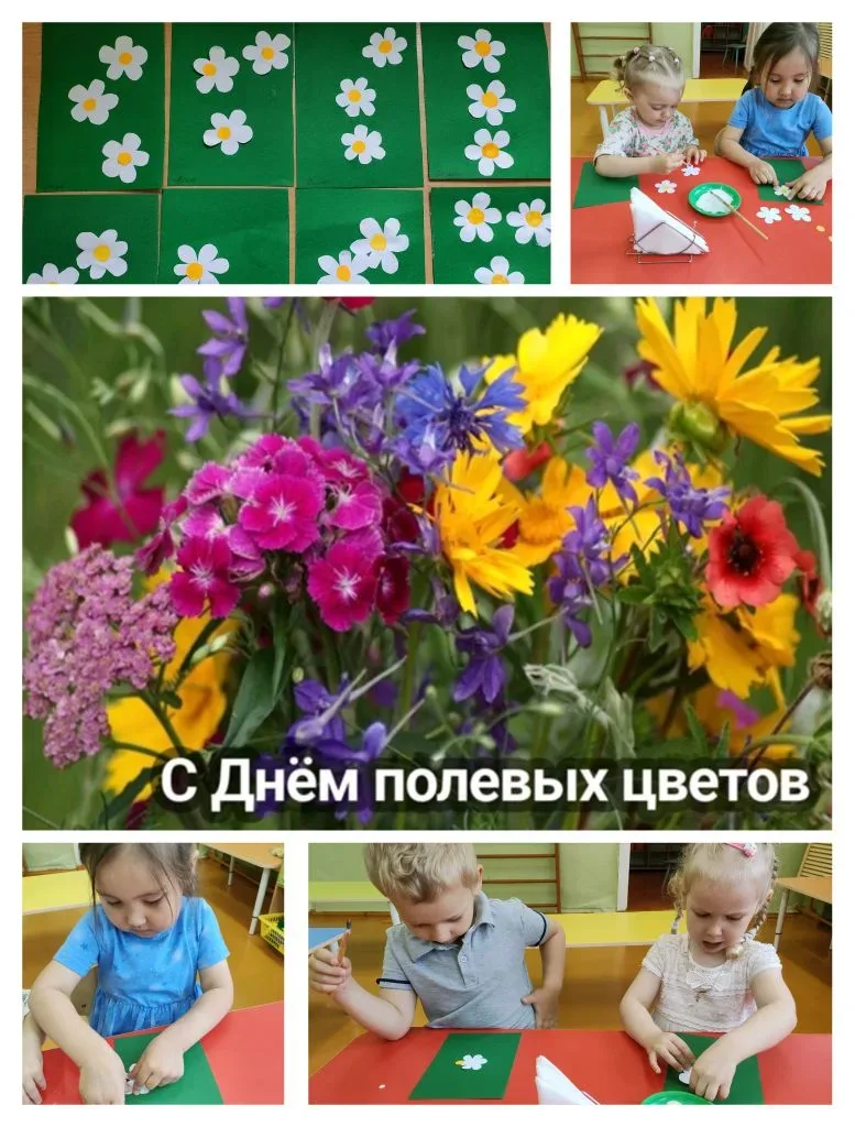 04.06.2026г Аппликация в младшей группе "Полевые цветы"