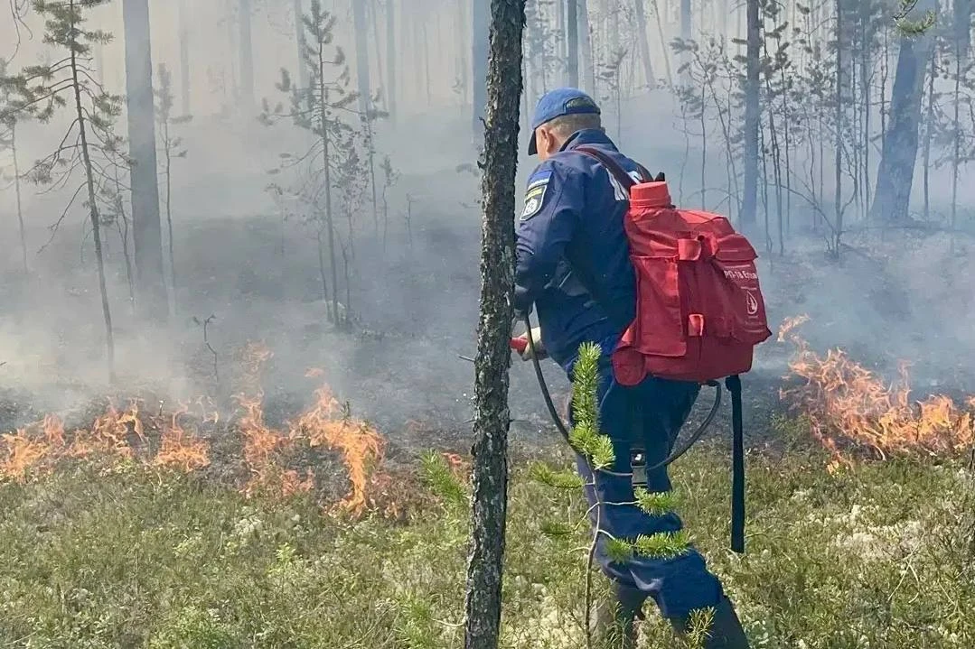 Все природные пожары потушили на Ямале