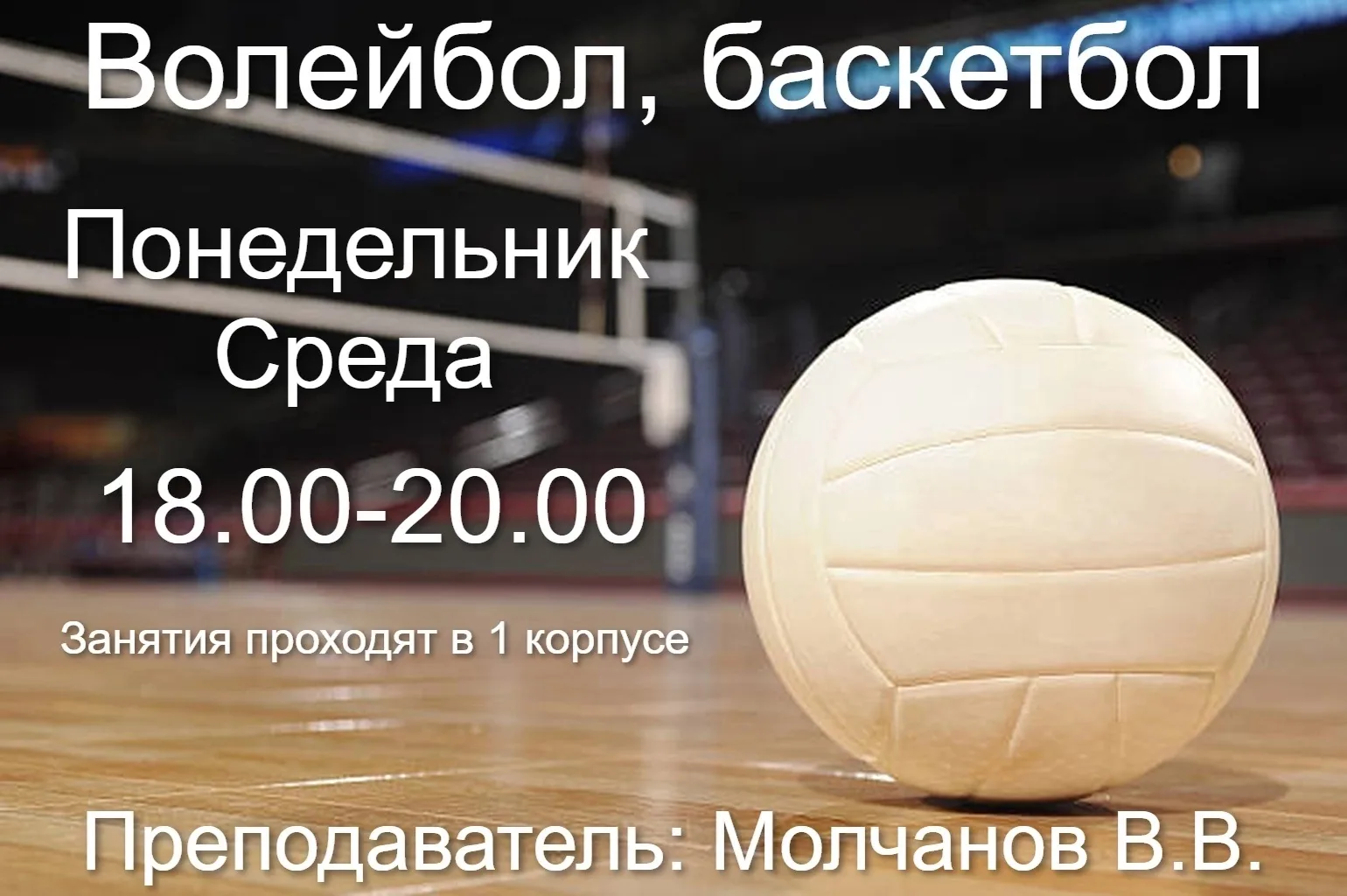 Хватит сидеть в телефоне — пора на волейбол! 🏐
