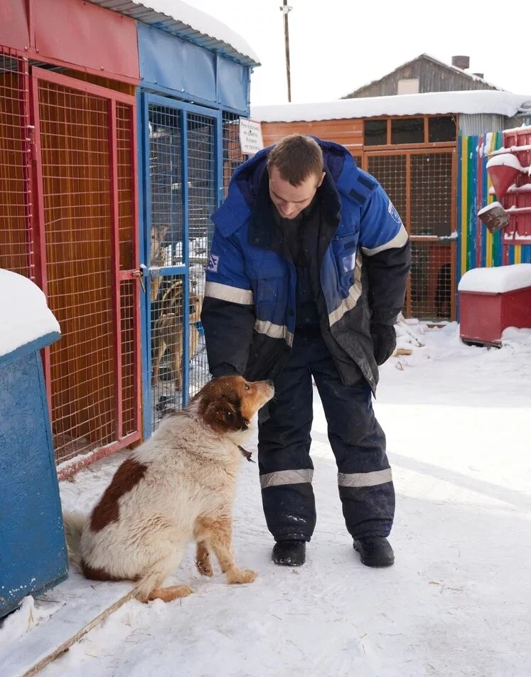 🆘😰 Снова Сибирский мороз, голод в хосписе! На корм мы не собрали! Душит долг за мусор и сотни голодн