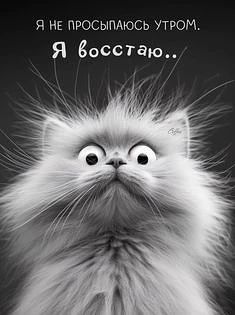 Доброго всем утречка! Дня позитивного и продуктивного !)