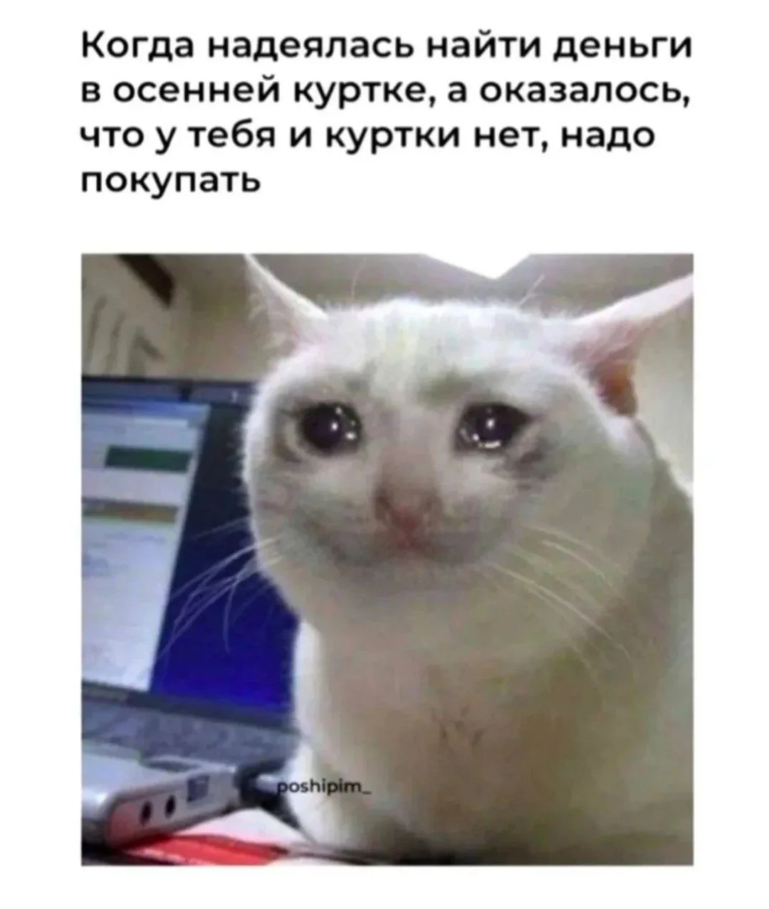 #юмордня хватит платить кредиты, лучше себе купить новую куртку🔥