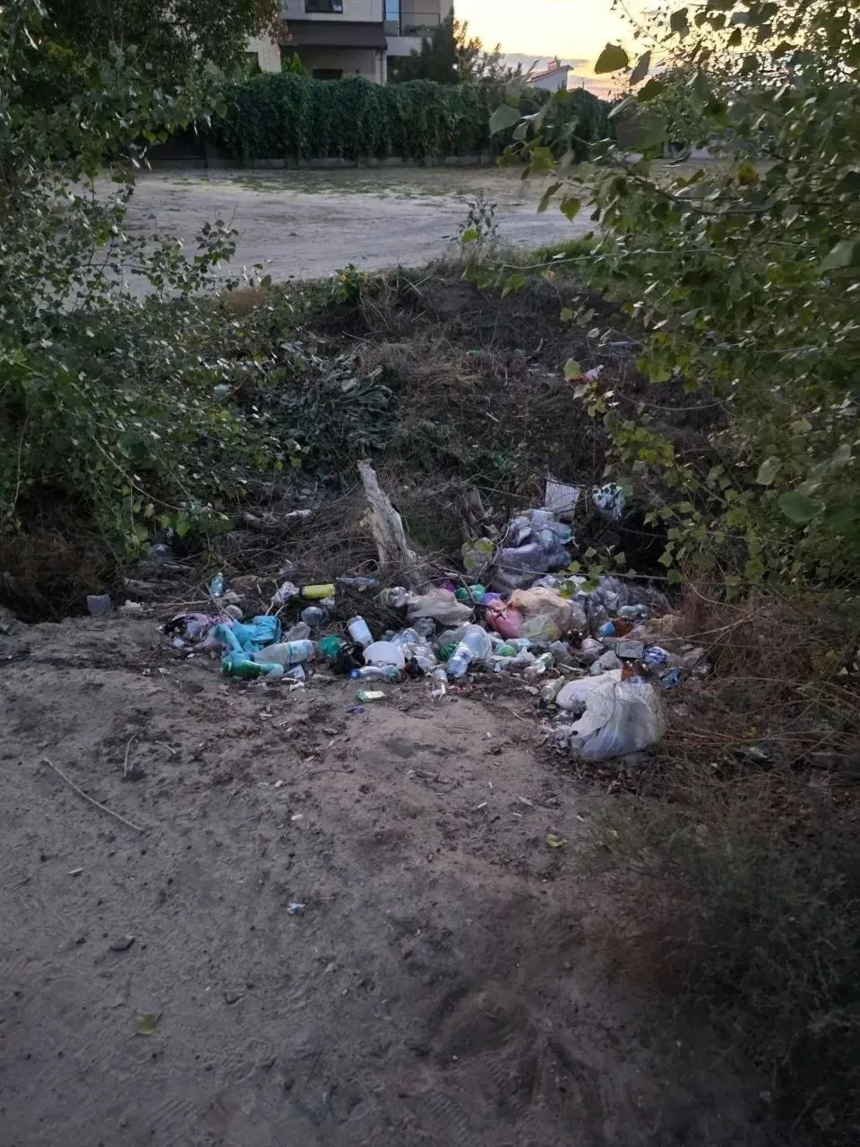 🌳 В Белой Калитве проходит месячник чистоты. Но не всем по душе наведение порядка в го...