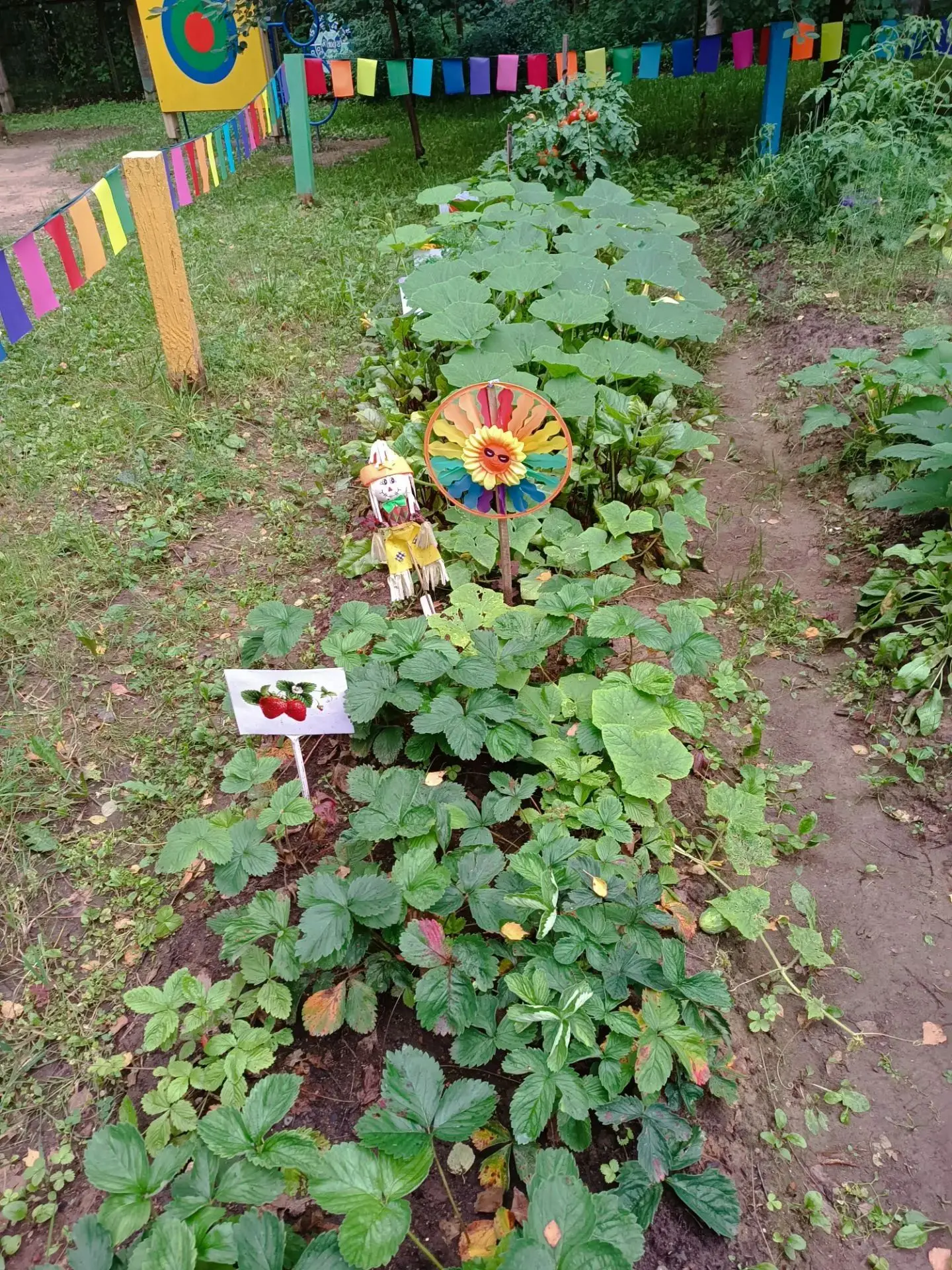 🌈Мы копали и сажали🍅,