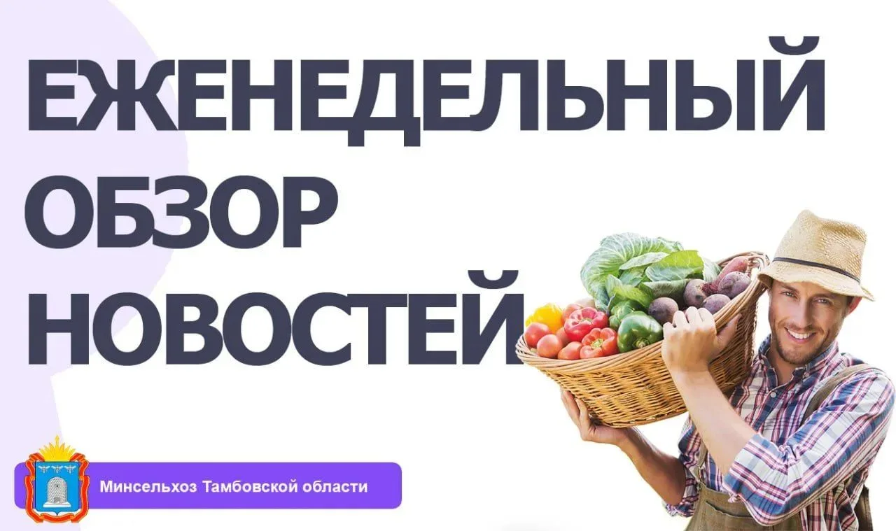 ‼️ОБЗОР НОВОСТЕЙ АПК ТАМБОВСКОЙ ОБЛАСТИ С 28 СЕНТЯБРЯ ПО 4 ОКТЯБРЯ 2026 ГОДА‼️