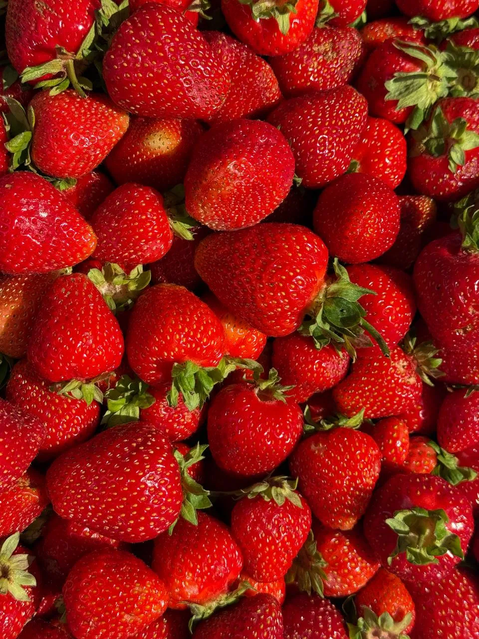 У нас снова свежая поставка клубники 🍓