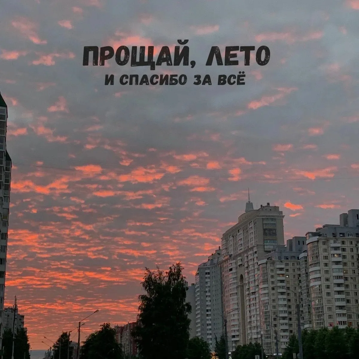 Друзья, с вами Александр👋