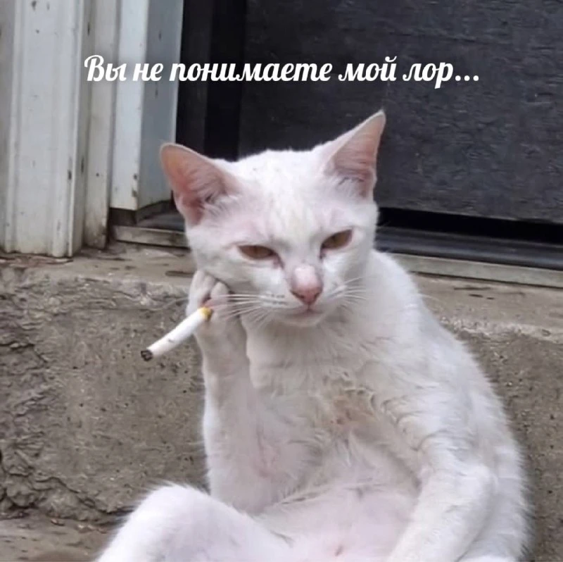 На паузе 😹

Выглядит как: дома спокойно, ничего не делаю. На самом деле: жду его, проверяю телефон,