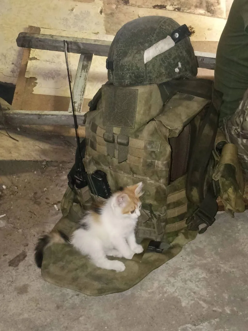 Отзыв о снаряжении, купленном в Ратник Тактикал:

«Броня хорошего качества , надежная и удобная , су