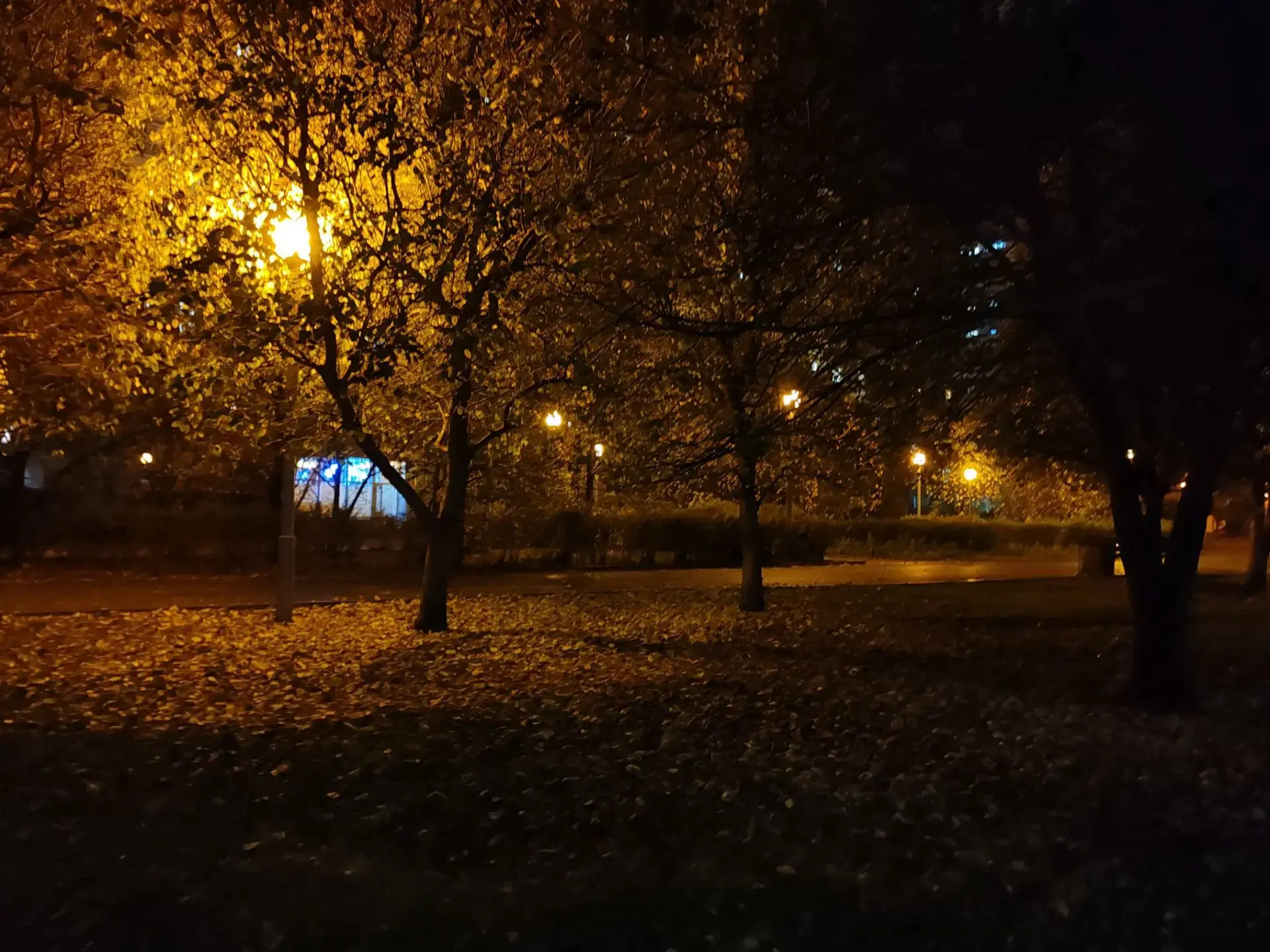 Бульвар Малахова. Очень красиво по вечерам ❤️