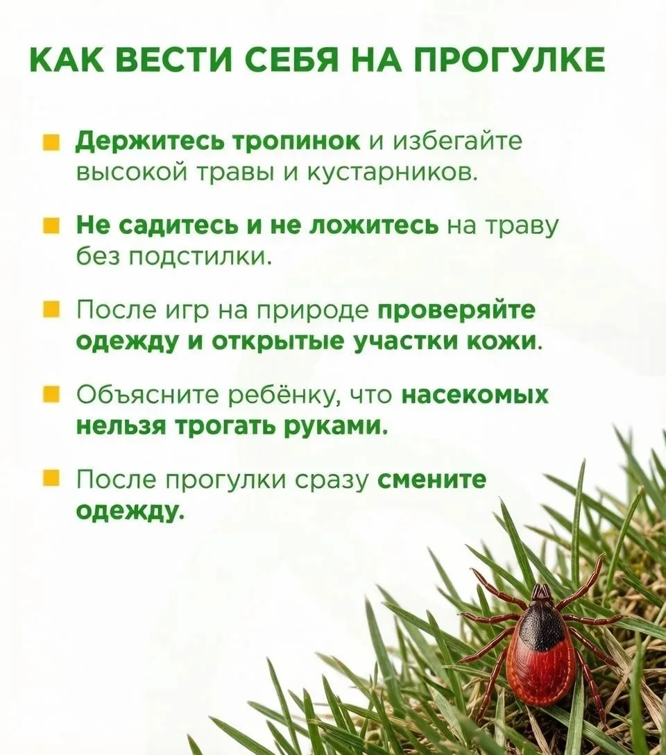 ⚠️Осторожно, клещи!  С наступлением тепла активизируются клещи. Они обитают не только в лесах, но и 