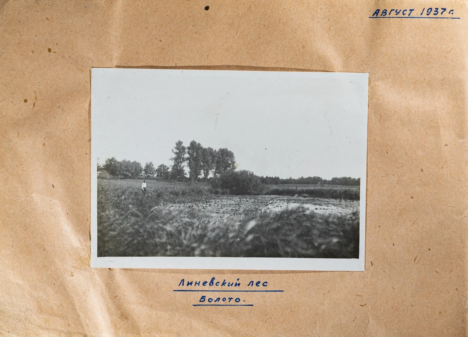 Фотографии озера Линево из альбома семьи Вишняковых, снимок сделан в 1937 году...