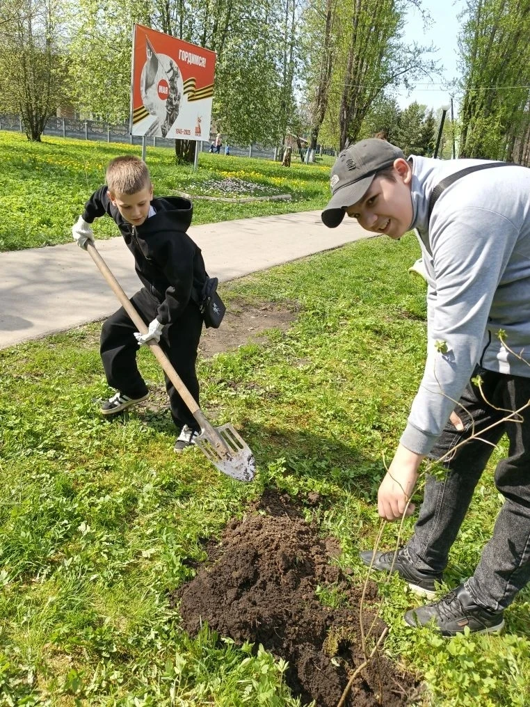 Сирень Победы: живая память в руках молодых! 🌱🌸